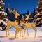 3 Piece LED Lighted Deer Family Set Doe Fawn Outdoor Christmas Yard Decoration 75.5 × 41 × 35 cm